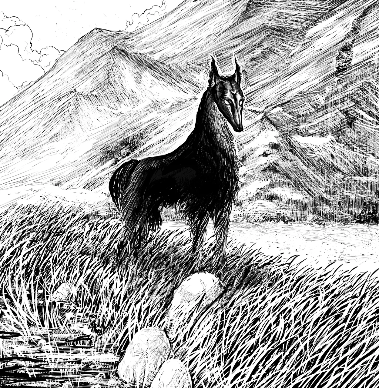A dark, lean dog standing alert in tall grass before cross-hatched mountains.